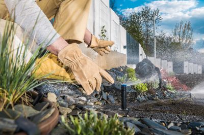 Reno, NV