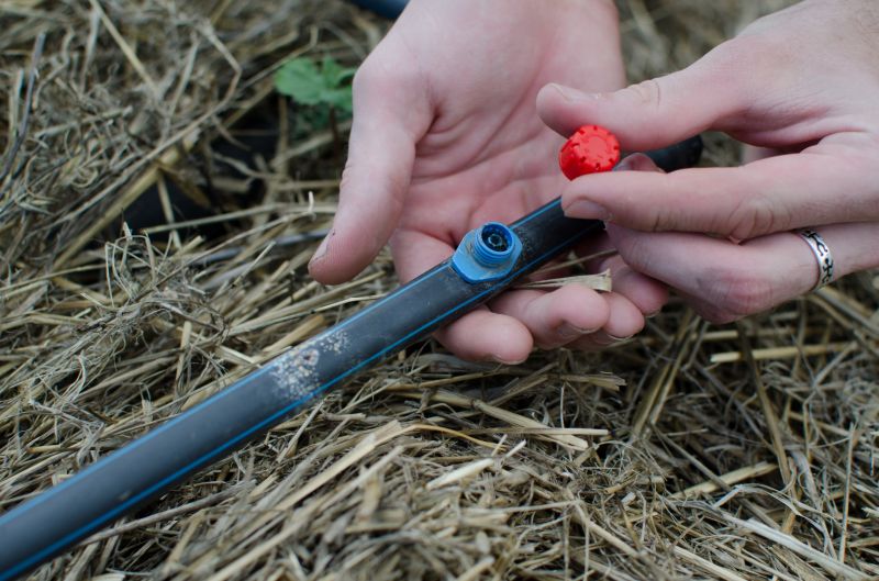 Drip System Installation