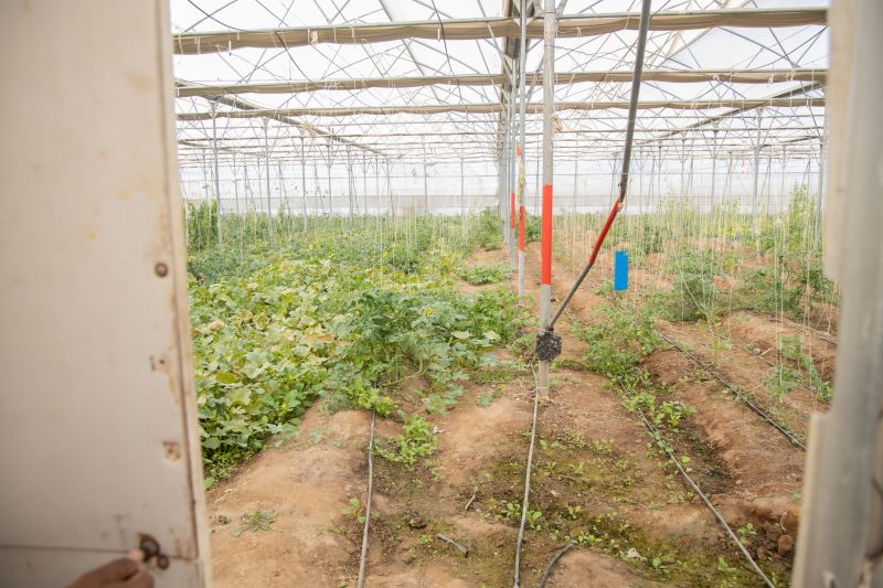 Farm Irrigation Installation in Honolulu, HI