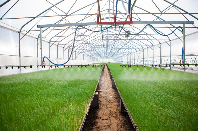 Irrigation System Replacement in Ventura County, CA
