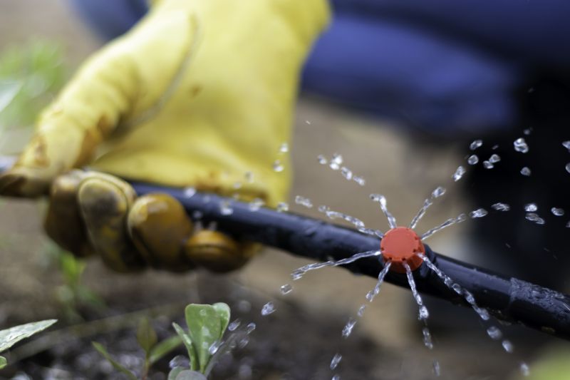 Sprinkler Line Replacement in Honolulu, HI