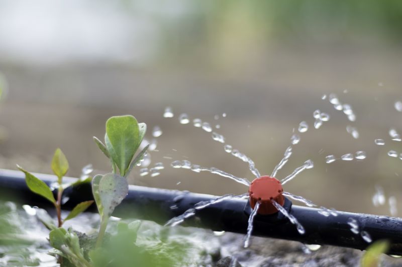 Watering System Installation Service